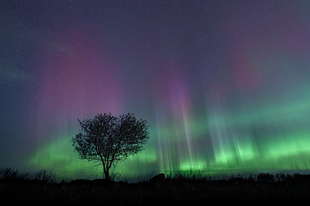 Photograph by Andrew Kuprin