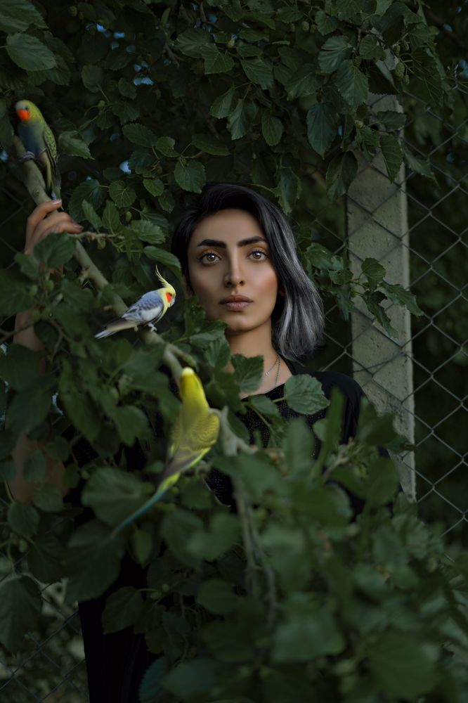 Фотография автора Reza Shabani