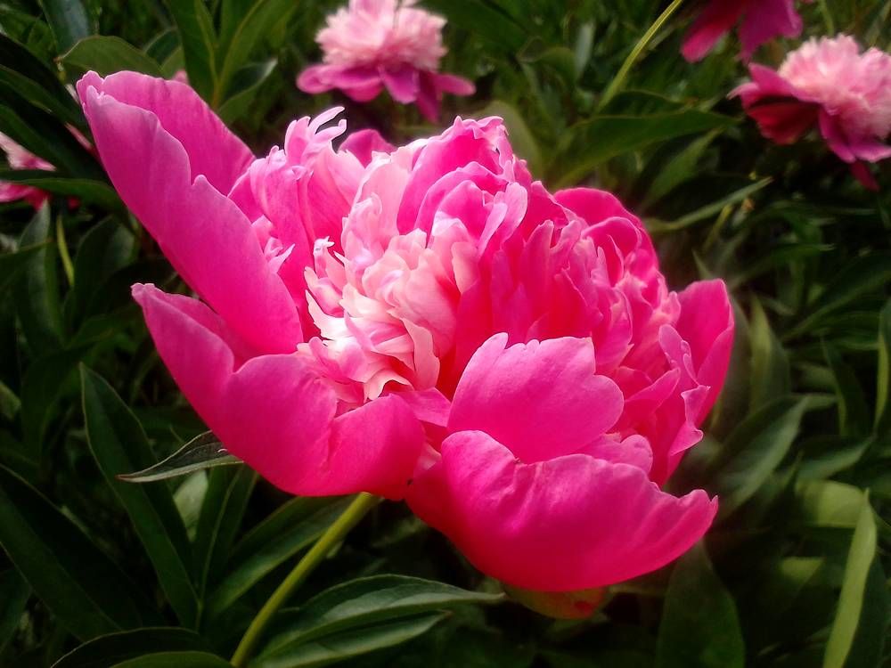 Photograph by Ольга Коркина