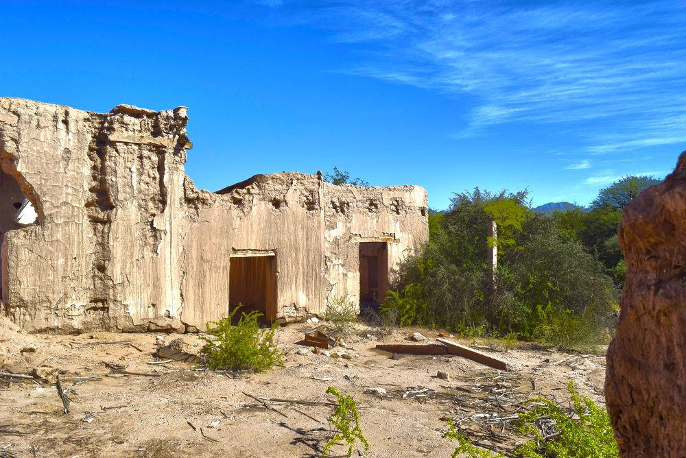 Фотография автора MIGUEL OMAR BARBERIS