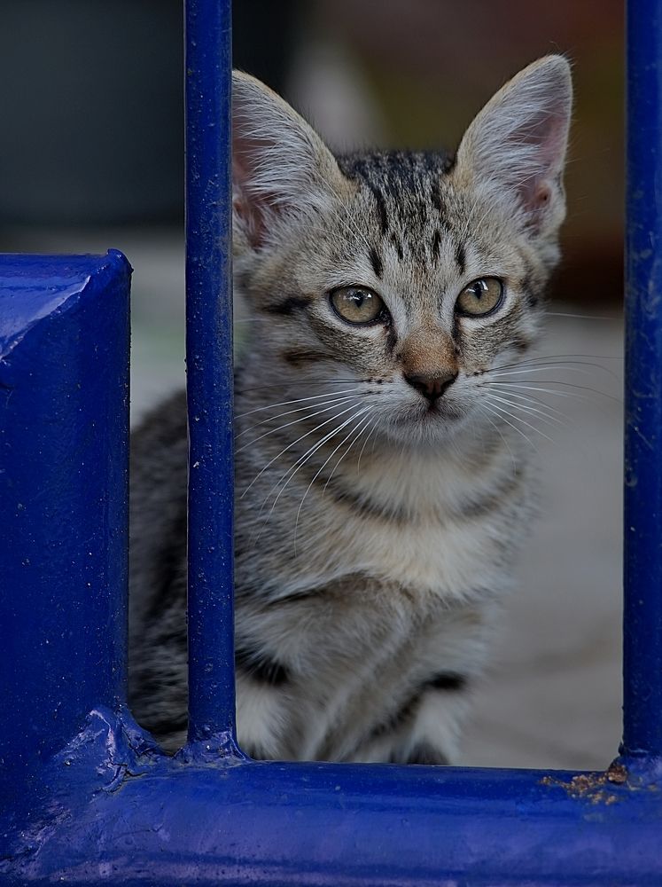 Photograph by sugianto