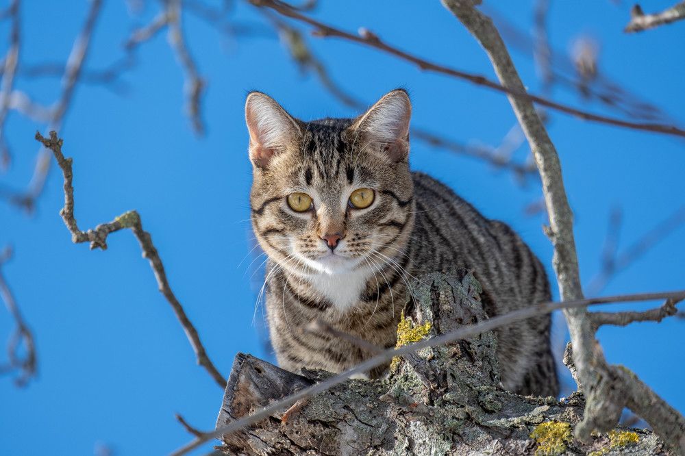 Photograph by Александр Денисов