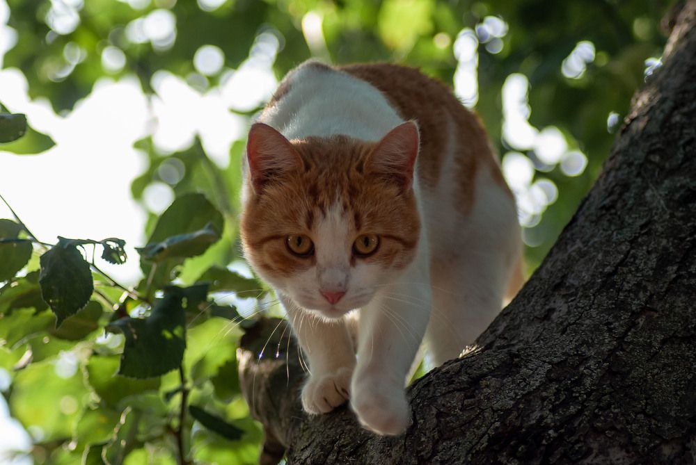 Photograph by Александр Денисов