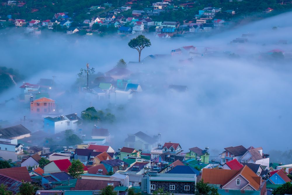 Photograph by Minh Tú Nguyễn