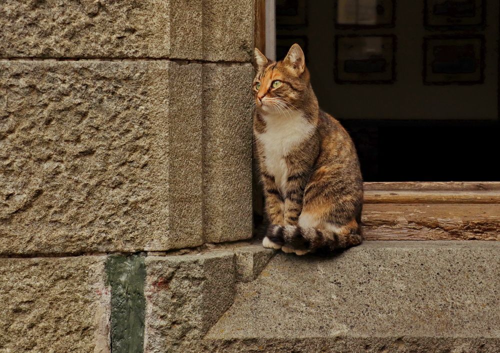Photograph by Владимир Сафронов