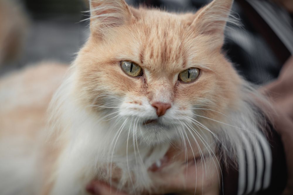 Photograph by Сергей Булышев