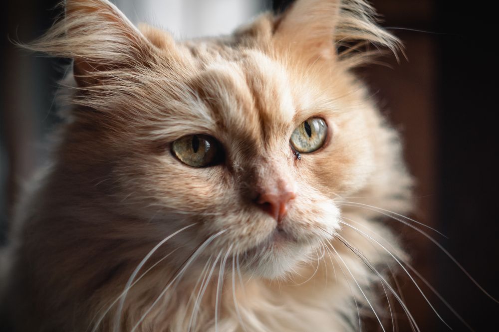 Photograph by Сергей Булышев