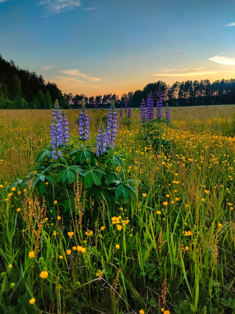 Фотография автора Светлана Смирнова
