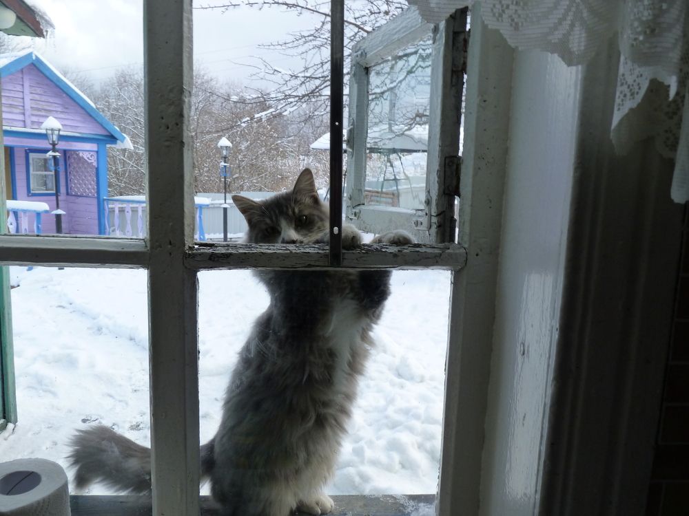Photograph by Светлана Сычева