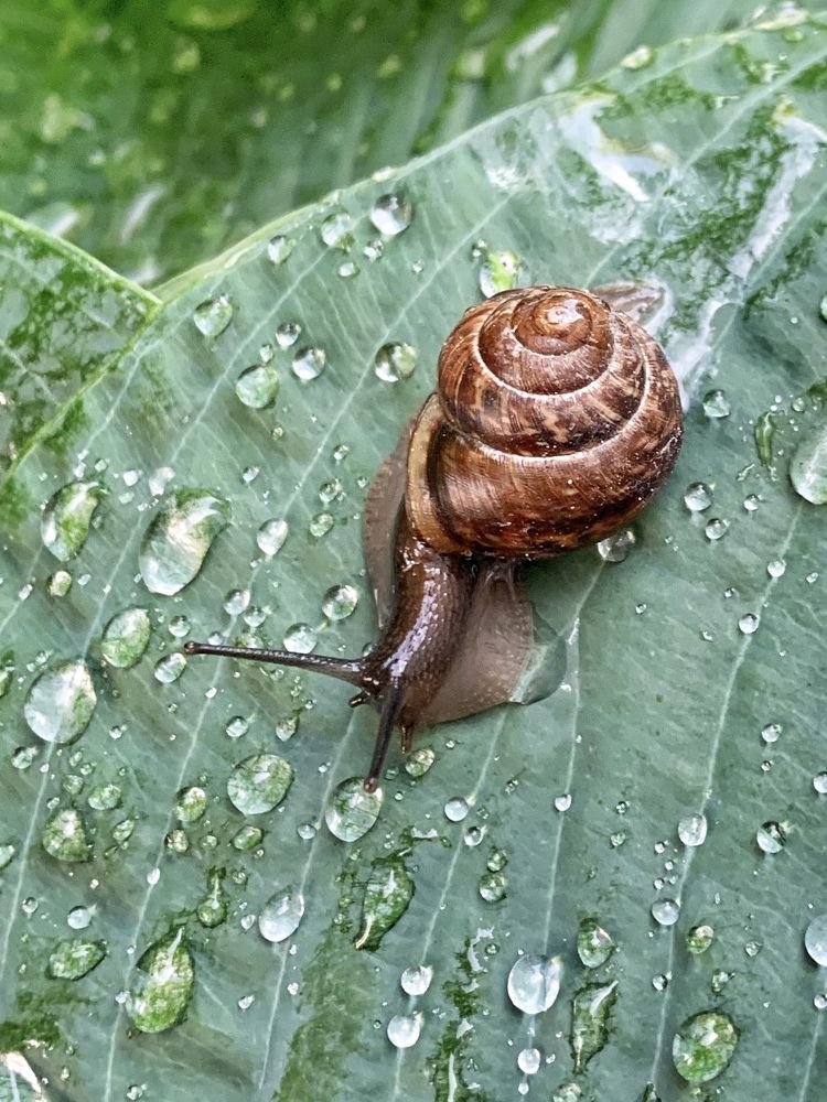 Photograph by Титаренко Людмила