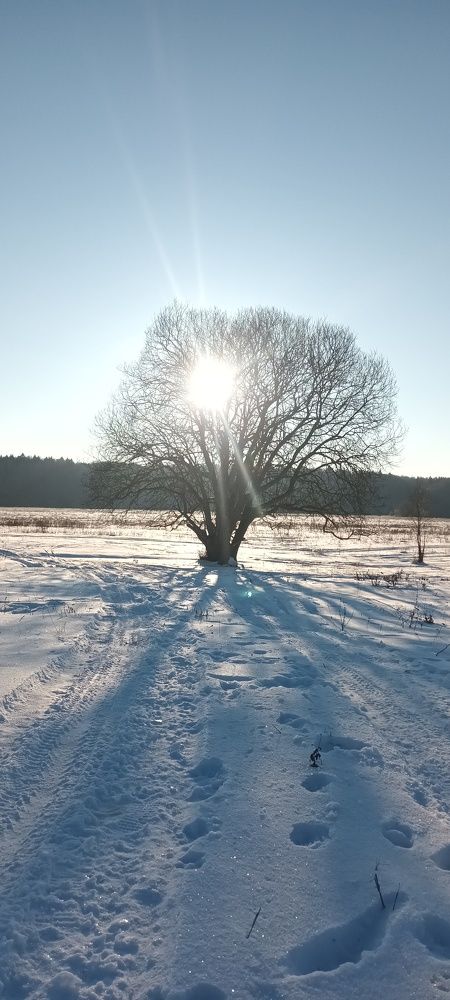 Photograph by Александр Макаренко