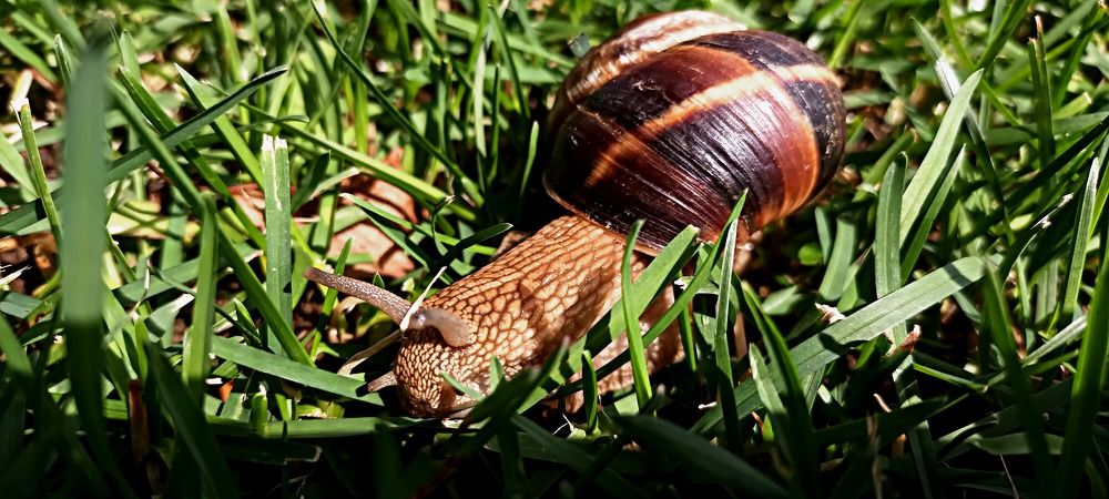 Photograph by Александр Макаренко