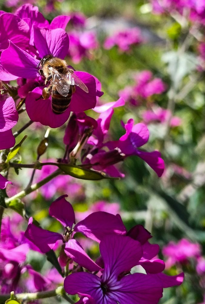 Photograph by Ирина Дмитриенко