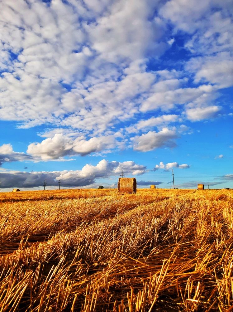 Photograph by Елена Кошелева