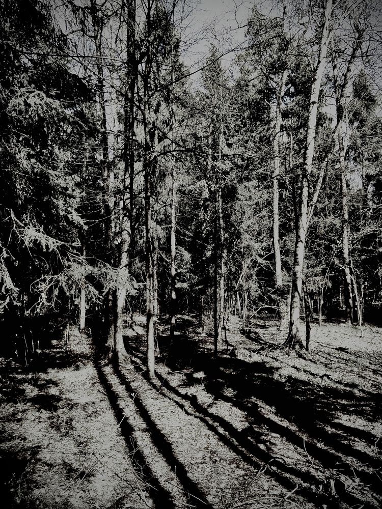 Photograph by Nebusow Maxim