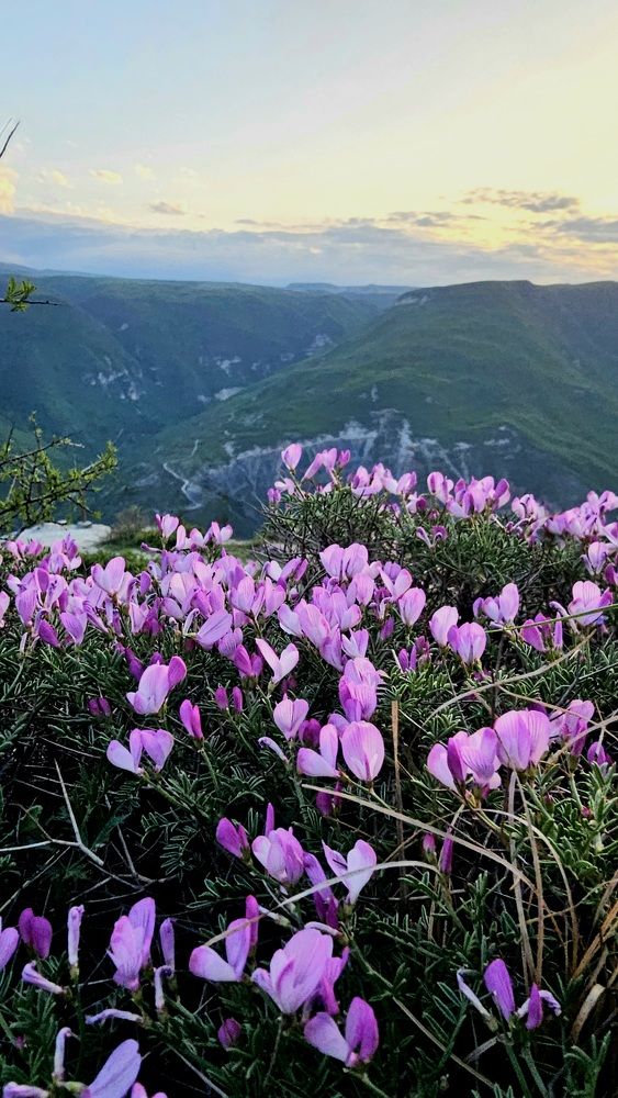 Photograph by Елена Мазуренко