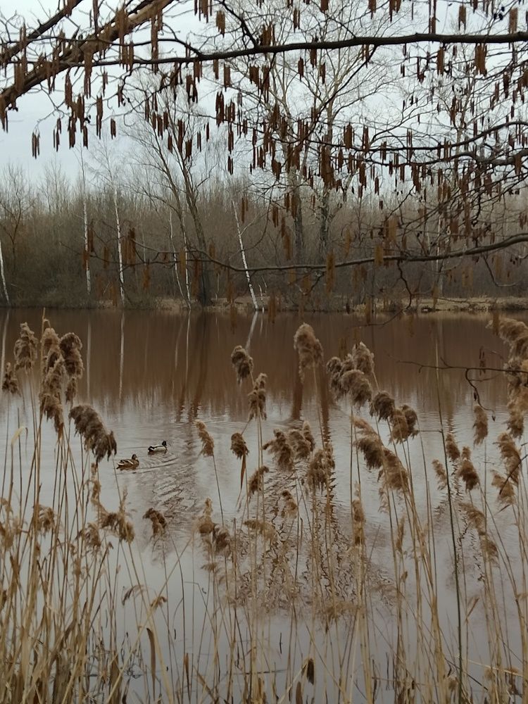 Photograph by Зыкова Мария