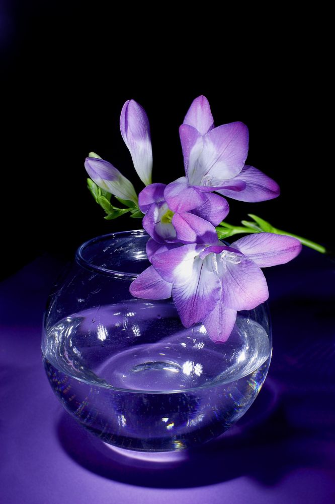 Photograph by виктор ковчин