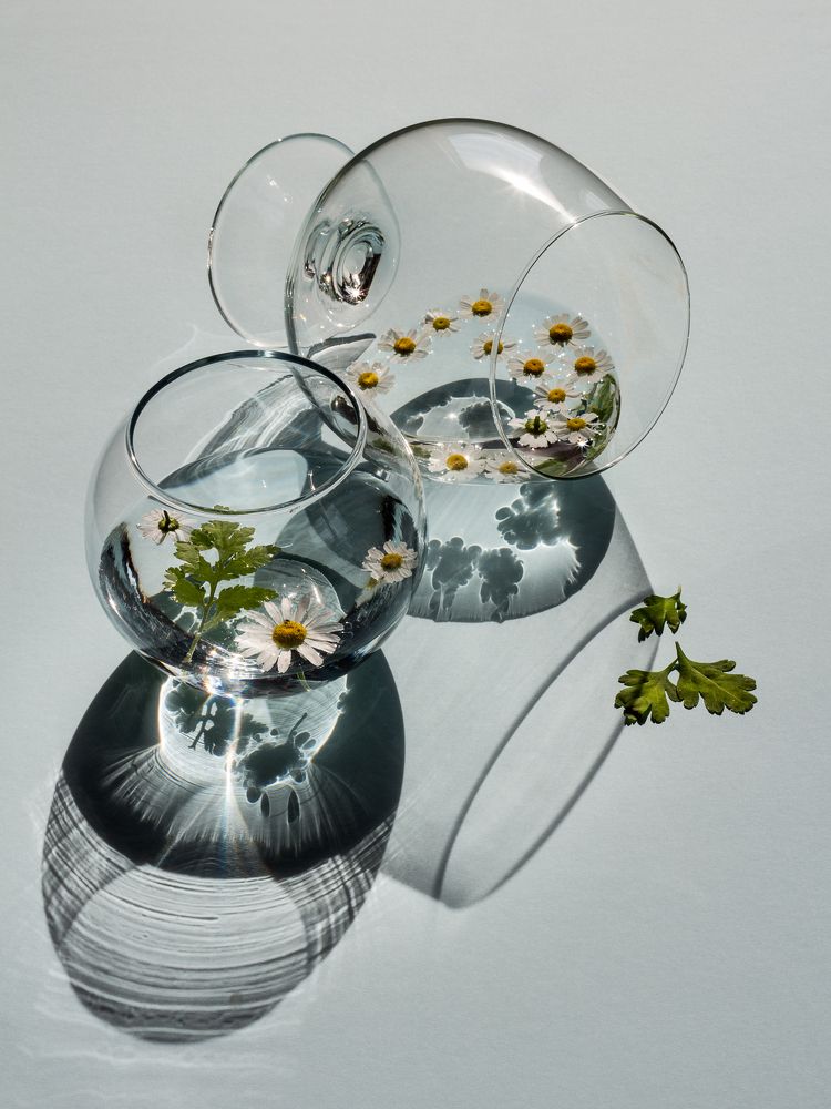 Photograph by виктор ковчин