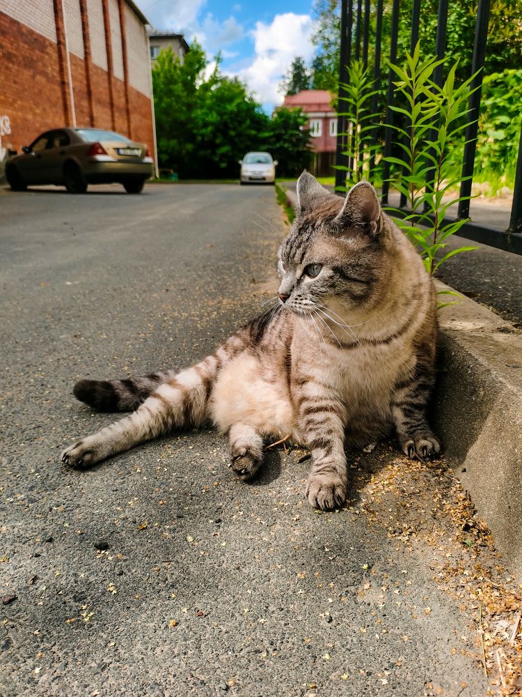 Photograph by Анна Сойтту