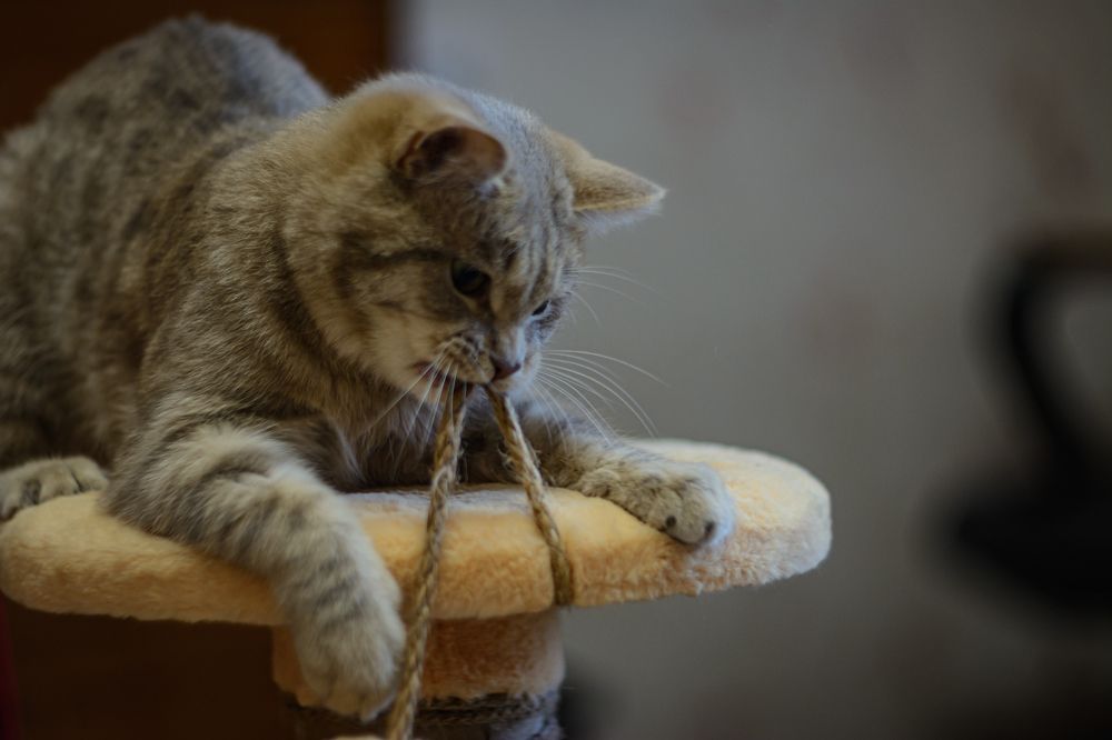 Photograph by Елена Берсенёва