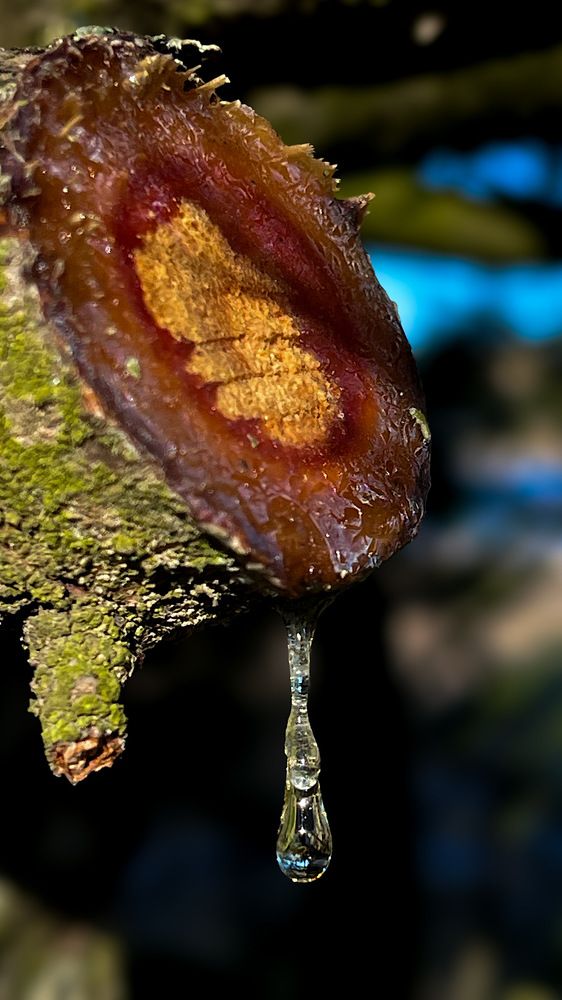 Фотография автора Elga Shtern