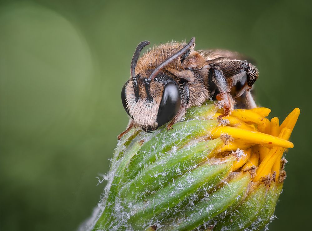 Фотография автора Андрей Жила