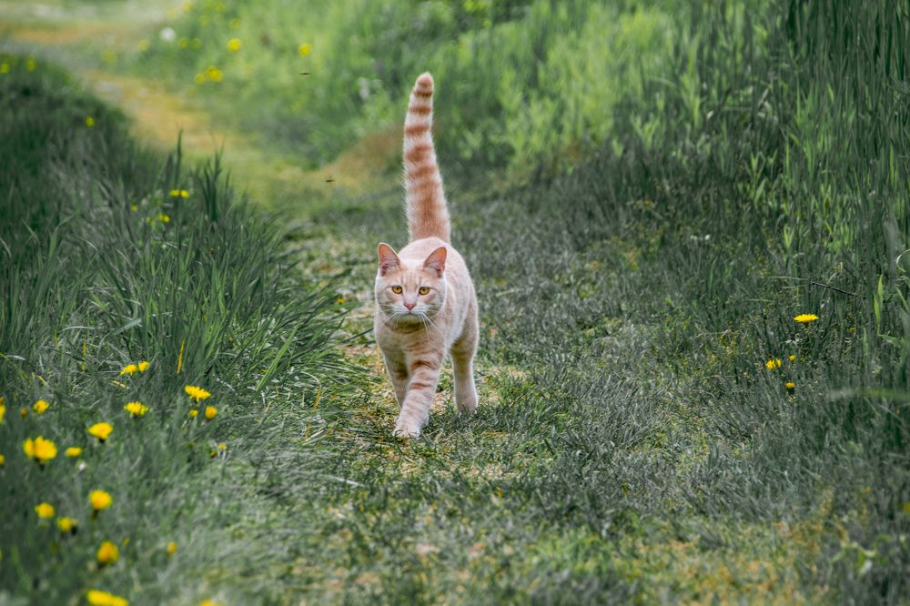 Photograph by Irina Luidinshina