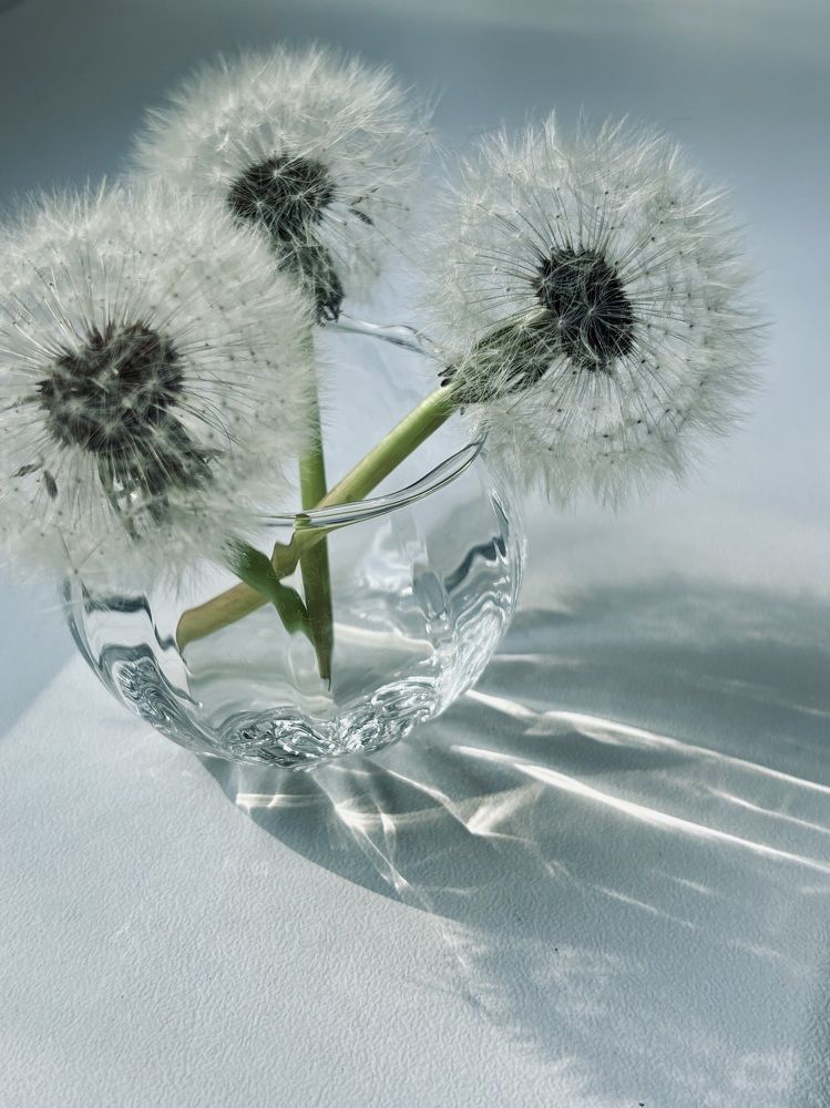 Photograph by Halina Mitsevich