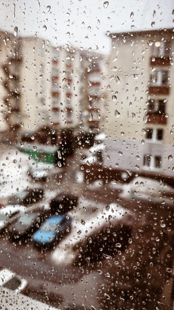 Фотография автора Дарина Фельдман