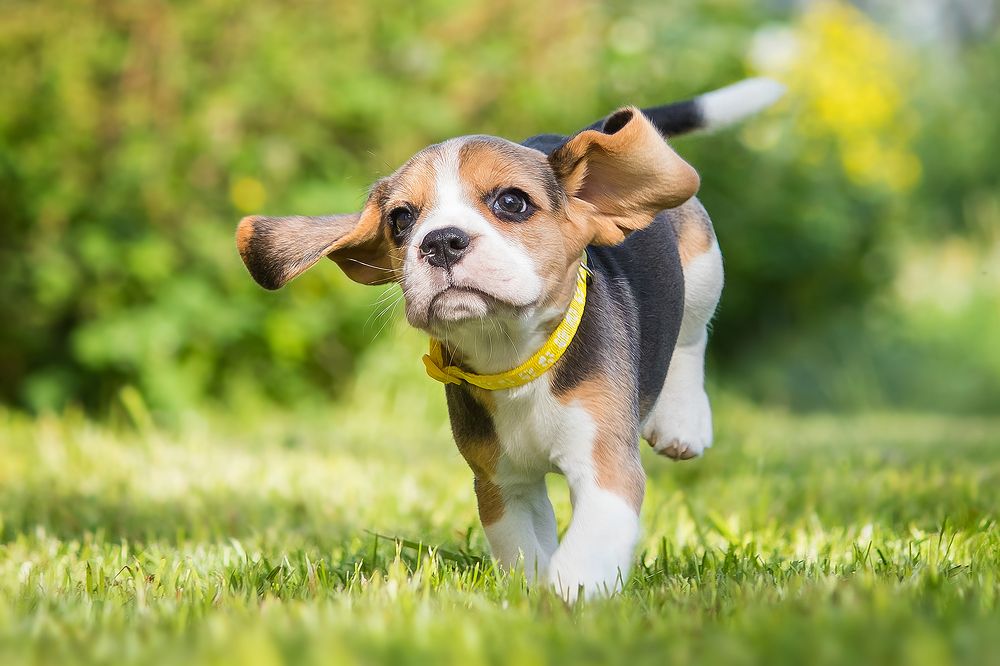 Photograph by Виктория Мамаева