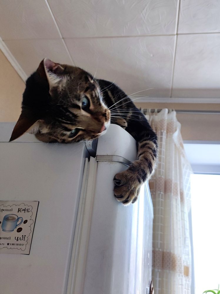 Photograph by Надежда