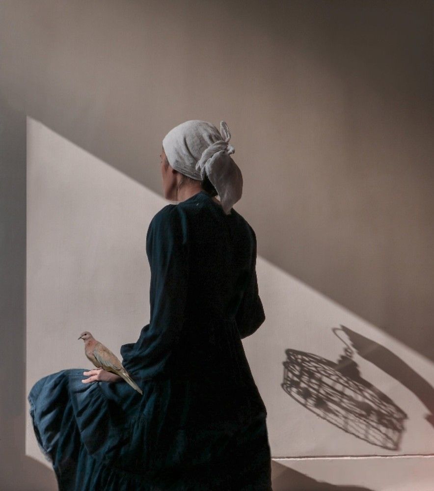 Photograph by Vida khani