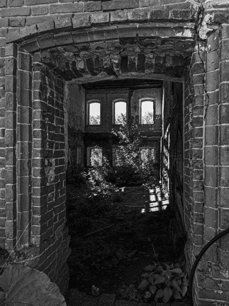 Photograph by Наталья