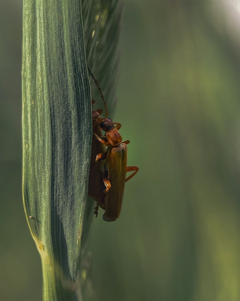 Photograph by Ольга Дорошенко