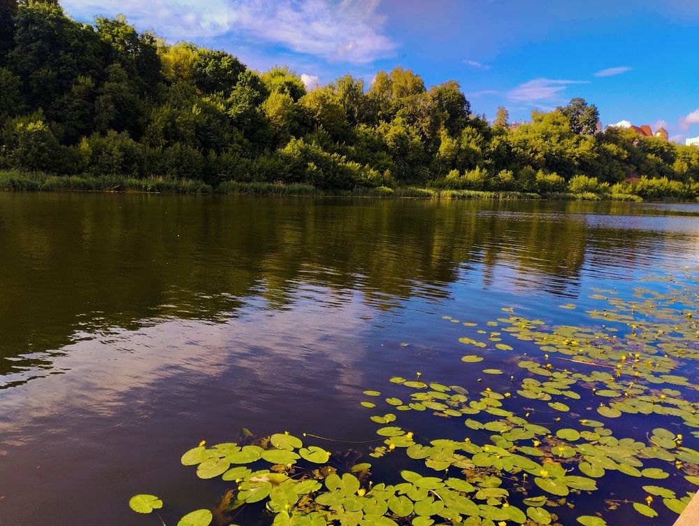 Photograph by Надежда Болтунова