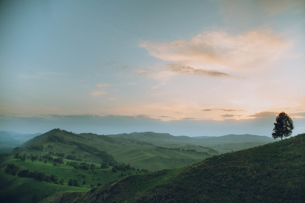 Photograph by Denis Koshkin