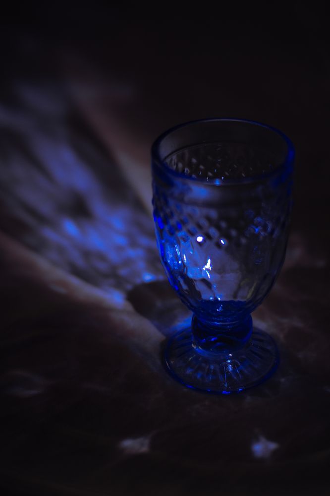 Фотография автора Ксения Вабищевич