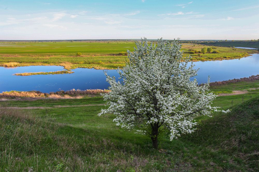 Photograph by Александр Ермаченко