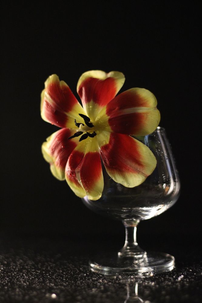 Photograph by Олеся Хижко