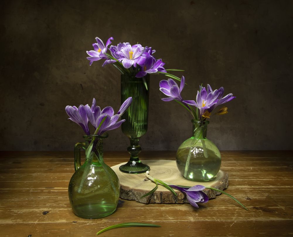 Photograph by Tatyana Fedenkova