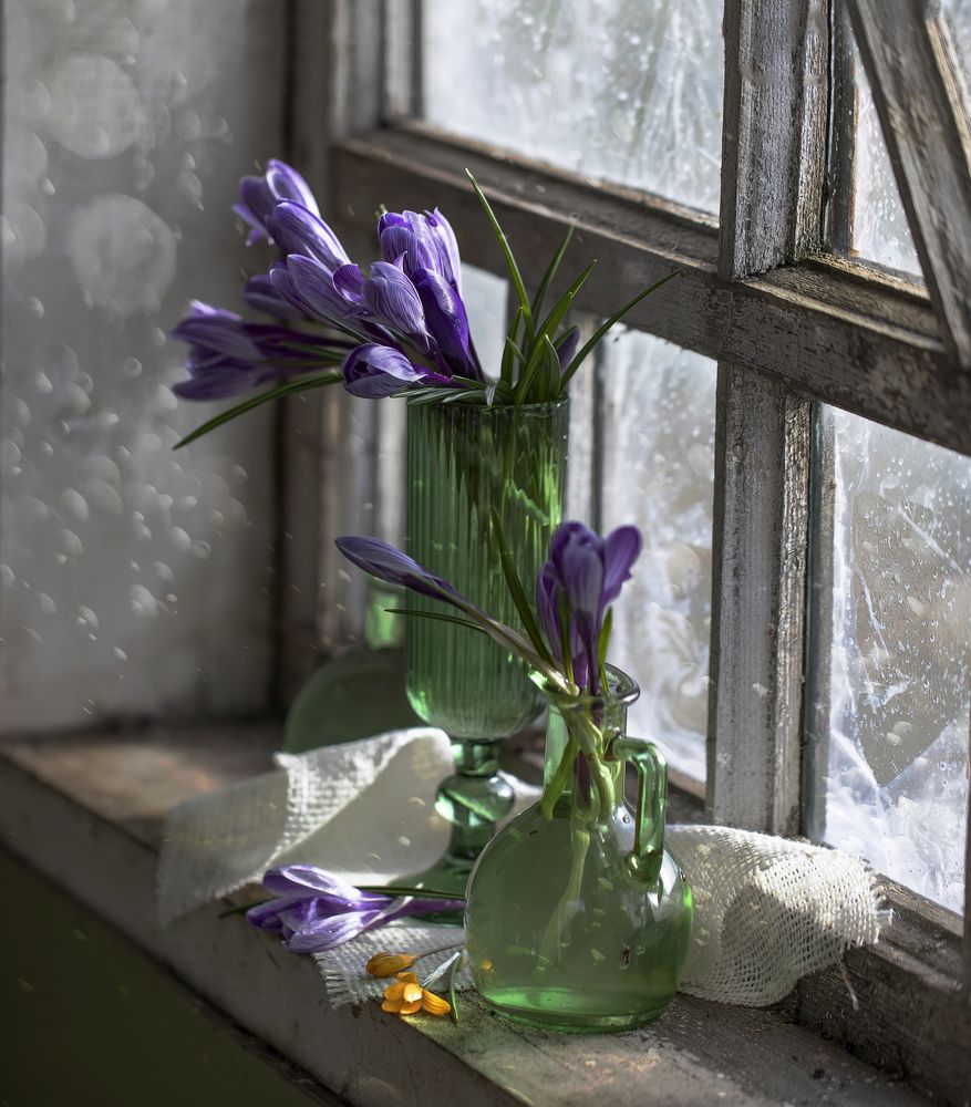 Photograph by Tatyana Fedenkova