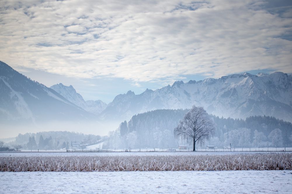 Photograph by Наталья Ростовская