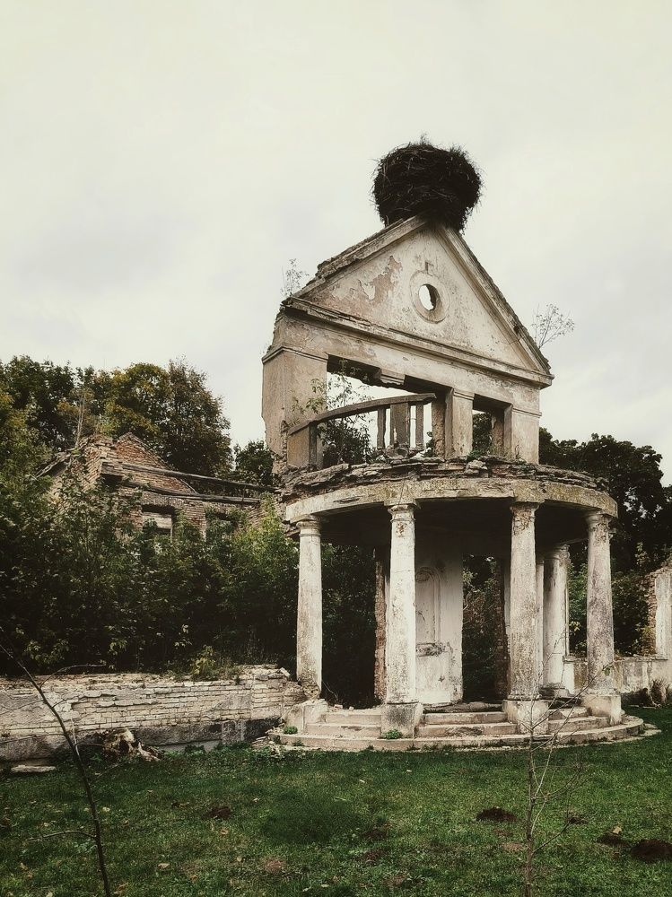 Photograph by Юлия Бурминская