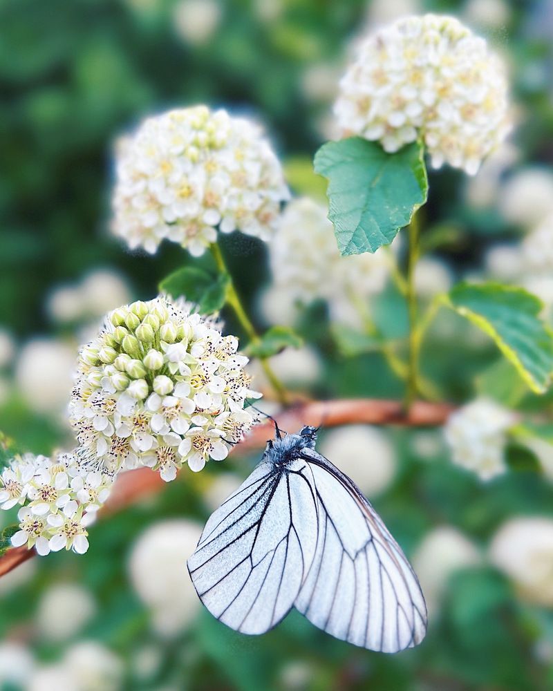 Photograph by Татьяна Волохова