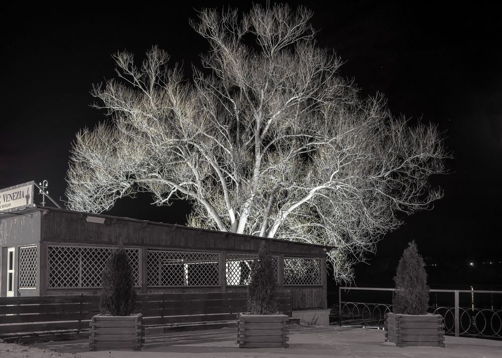 Photograph by Белевитин Михаил