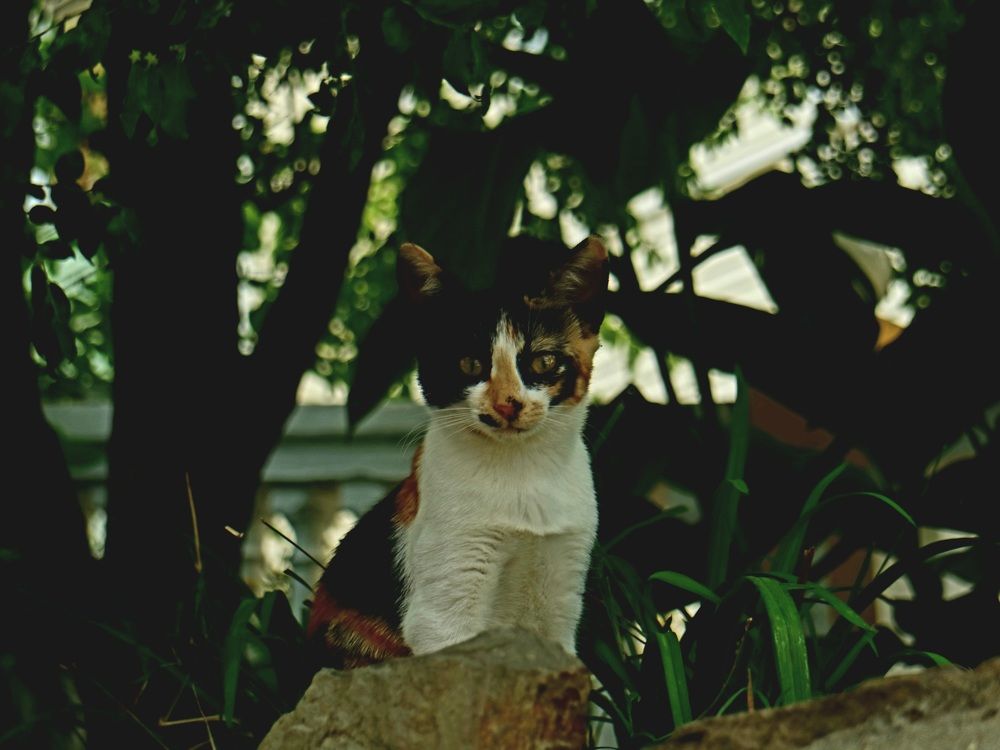 Фотография автора Боков Дмитрий