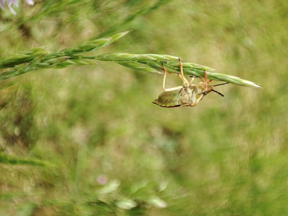 Photograph by Юлия Бурминская