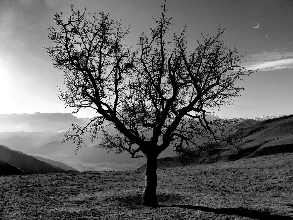 Photograph by Юсиф Саркаров