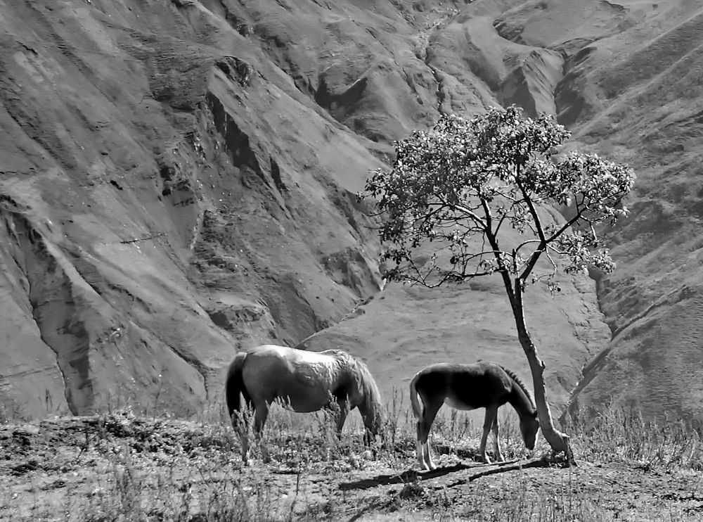 Photograph by Юсиф Саркаров